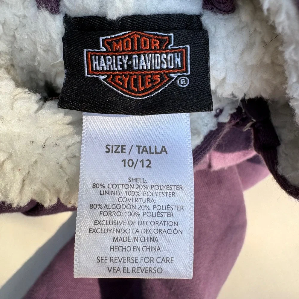 Harley-Davidson brand harley